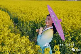 仙居乡农业公园：约你再看油菜花图片
