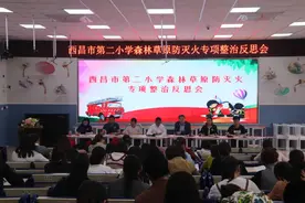 西昌市各学校召开森林草原防灭火工作反思会图片