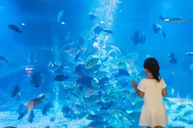 在三亚打卡“海底”酒店，便宜超乎你想象图片