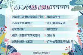 2021年清明节预测报告：预计今年清明节出游或将达到1亿人次图片