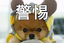 预防宝宝出生缺陷，孕前这些检查一定得重视图片