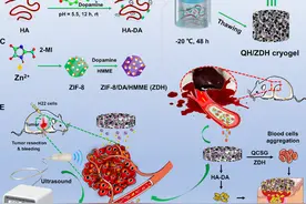 最近，陕西科研人员在预防癌症复发方面取得重大成果，已被国际公开发表！图片