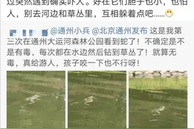 注意躲避！通州区大运河森林公园惊现近1米长水蛇图片