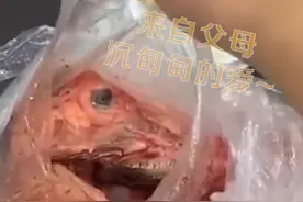 硬核年货！山东父母给留在上海过年的女儿寄羊图片
