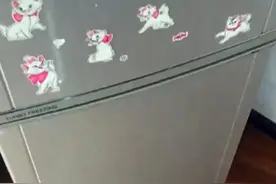 狗狗偷吃肉，主人把它关冰箱惩罚，忘了时间，一开冰箱傻眼了图片