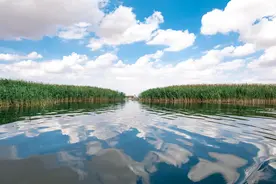 风起额济纳，沙落北京城，大漠明珠居延海竟是沙尘暴的源头所在图片