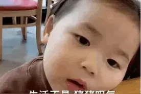 表情包：生活不易，猪猪叹气图片