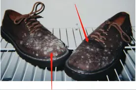 皮鞋霉点，怎么去除？老鞋匠教你一招，划痕都能修复，比打蜡好使图片
