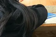 开心一刻：我的姐姐是个大美女图片