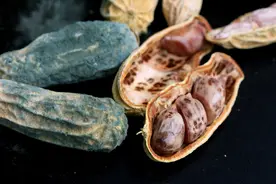 世卫组织公布一级致癌清单：不想招惹癌症，4种食物别轻易下嘴图片