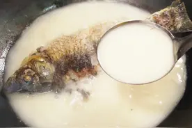 鲫鱼汤最营养的做法，大厨教你一招，汤和牛奶一样鲜白，美味不腥视频封面