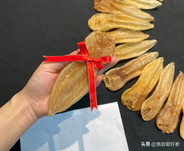 黄花胶与白花胶哪种好 2026年黄花胶与白花胶哪种好一点