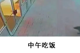 这就是我上班的真实写照，太真实了图片