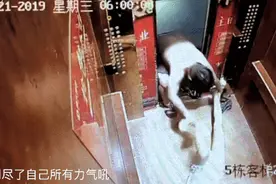家暴者为什么可以让“被家暴者”再三原谅？图片