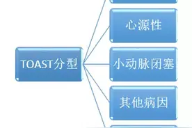 发泡试验——从脑到心图片