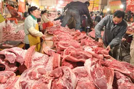 没人吃猪肉了？9元一斤无人问，养殖一头亏500！为何如此？图片