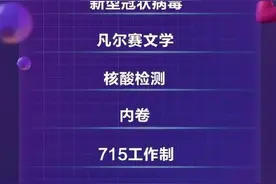 2020百度沸点年度知识热词出炉 凡尔赛、内卷等入榜图片