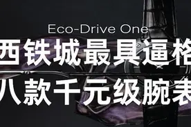 干货分享：西铁城最具逼格八款千元级腕表图片