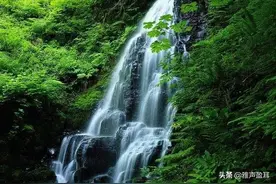 听一曲《流水》追随古琴声，缥缈闲云中图片