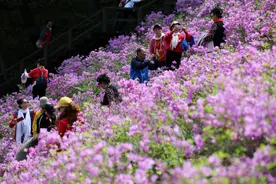 五月游千山 水盈花秀美图片