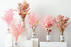 永生草类搭配植物干花与手工干花图片