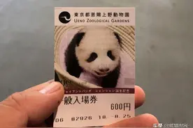 熊猫在日本有多火？排队3小时参观5分钟图片