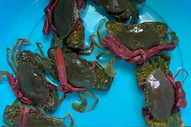 特色分享-潮汕海鲜粥图片