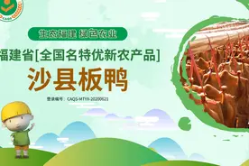 沙县板鸭 竹下鸭飘香 味传三千年｜福建省【全国名特优新农产品】图片