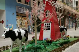 肇庆市广宁南“街米兰小镇”街景图片