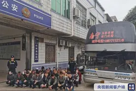 大巴车运送23名非法入境人员，乘务员获刑两年半图片