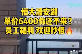 去年以为预算不够没买这里的房，今年竟然降价了图片