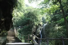 “五一”怎么过？山城步道邀你体验“爬坡上坎”图片