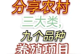 这些发家致富的机会，你能把握住吗？创业真没有那么难的图片