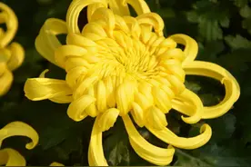 请爱护你的菊部，口味不要太重，不然苦了你们也苦了我们啊图片