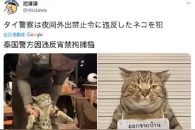 国外夜猫子晚上瞎溜达被捕，满满的喜感图片