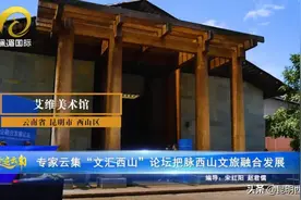 西山新视野 | 专家云集 “文汇西山”论坛把脉西山文旅融合发展图片
