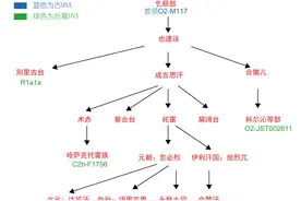 疑似成吉思汗黄金家族的所有DNA汇总图片
