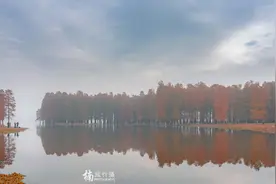 回忆去年的旅行之四明山的秋色图片