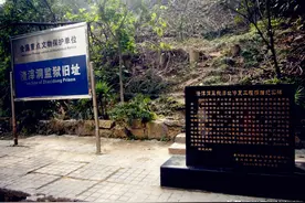 渣滓洞特务，曾化名黄克诚为江姐送信，被判死刑时喊冤，结局如何图片