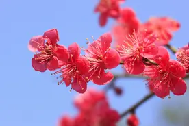 一年级下册《春夏秋冬》，家长可和孩子在家一起学习重要知识点图片