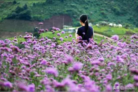 泰国10大适合观云海胜地图片