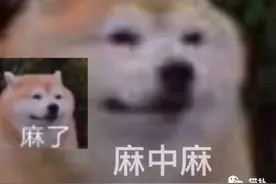 拉了14个女生进群聊天？当海王的第一天翻车翻得太猛烈了图片