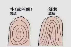 老人言：一螺穷，二螺富，三螺四螺开店铺，手指上的螺真的可信吗图片