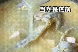 深圳男子吃了朋友送的鱼，差点要了命！夏季饮食千万注意这些…图片