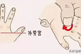 经外奇穴-外劳宫图片