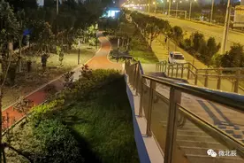 再添生态靓丽的好风景！淮东路（北辰道——淮河道）景观工程顺利完工！图片