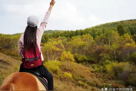 北京自驾4个小时，去承德坝上七彩森林，这里的秋天太美了图片