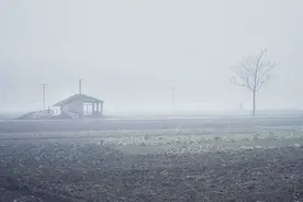 南京话与“江北人”图片