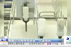 你吃的鸡块可能是鸡毛？美国公司用鸡毛研发“人造鸡块”视频封面