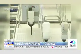 你吃的鸡块可能是鸡毛？美国公司用鸡毛研发“人造鸡块”视频封面